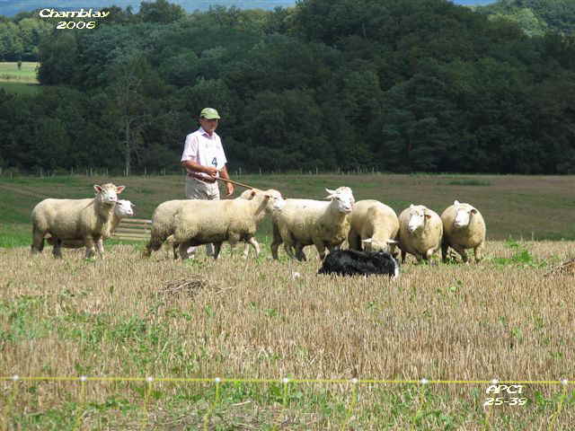 Coupe de France Chamblay 2006 005