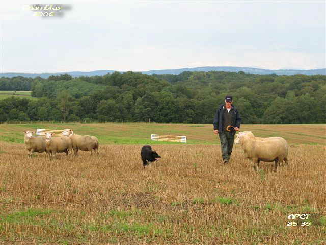 Le Juge R. Roth et son chien