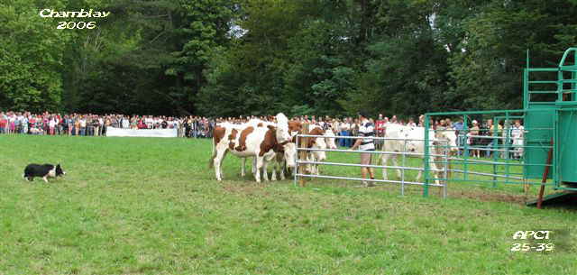 Trier des gnisses au chargement