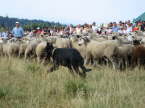 st bonnet 06 130