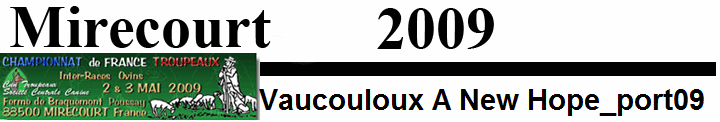 Vaucouloux A New Hope_port09