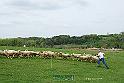 KjpA0016w