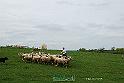 KjpA0019w