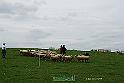 KjpA0023w