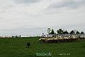 KjpA0029w