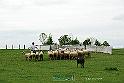 KjpA0031w