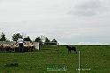 KjpA0048w