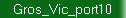 Gros_Vic_port10