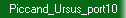 Piccand_Ursus_port10