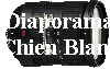 diapo_logo