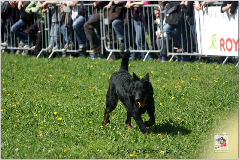 PICT2266w-web.jpg - KONICA MINOLTA DIGITAL CAMERA