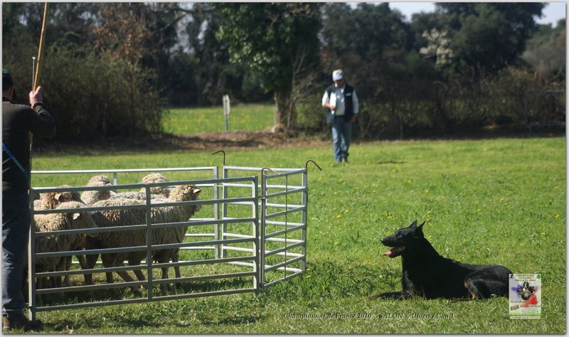 PICT2267w-web.jpg - KONICA MINOLTA DIGITAL CAMERA