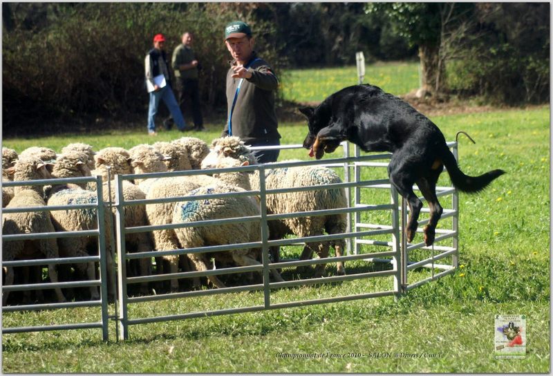 PICT2268w-web.jpg - KONICA MINOLTA DIGITAL CAMERA