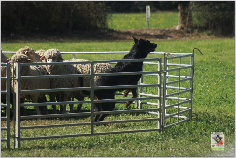 PICT2269w-web.jpg - KONICA MINOLTA DIGITAL CAMERA