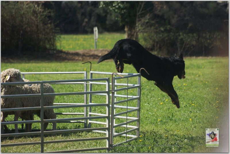 PICT2270w-web.jpg - KONICA MINOLTA DIGITAL CAMERA