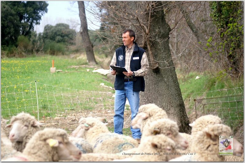 PICT2176w-web.jpg - KONICA MINOLTA DIGITAL CAMERA