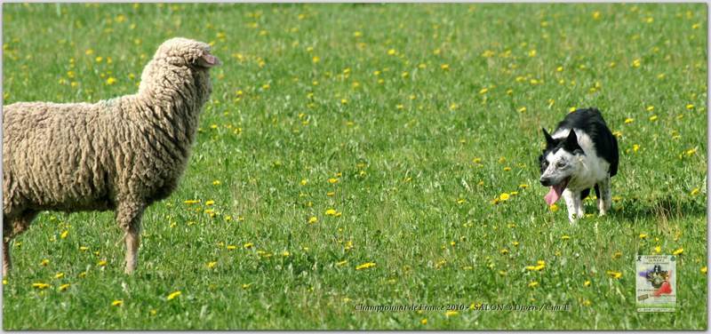 PICT2244w-web.jpg - KONICA MINOLTA DIGITAL CAMERA