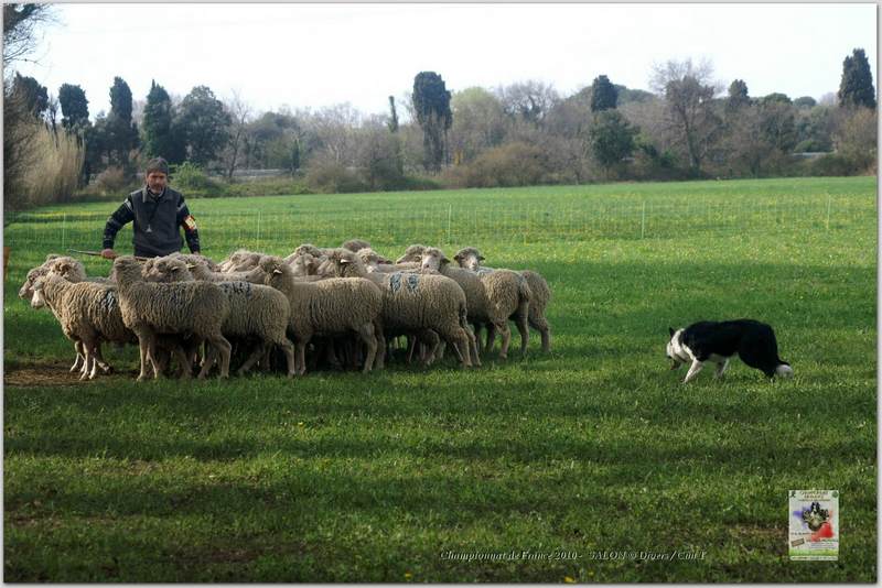 PICT2245w-web.jpg - KONICA MINOLTA DIGITAL CAMERA