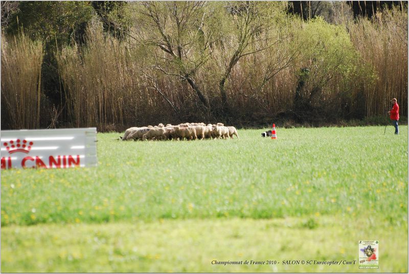 Lalande_Va_Samedi_0007w-web.jpg