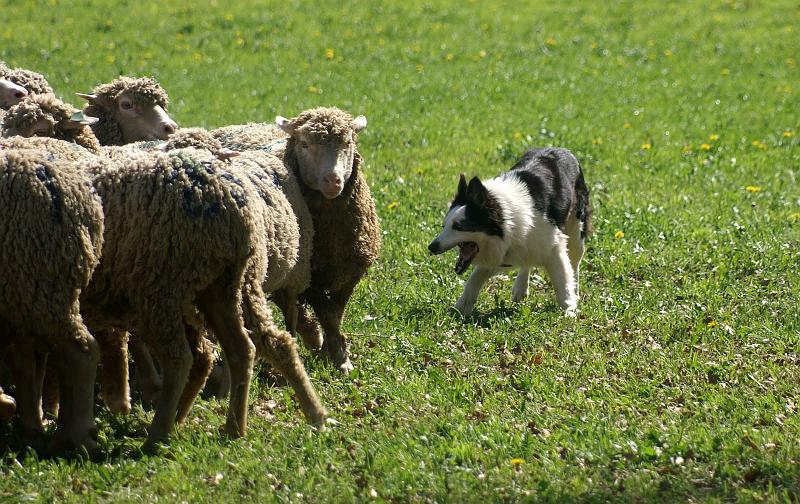 PICT2258.JPG - KONICA MINOLTA DIGITAL CAMERA