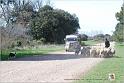 Piccand_Ursus_Dimanche_0052w-web