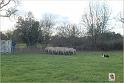 Piccand_Ursus_Samedi_0135w-web