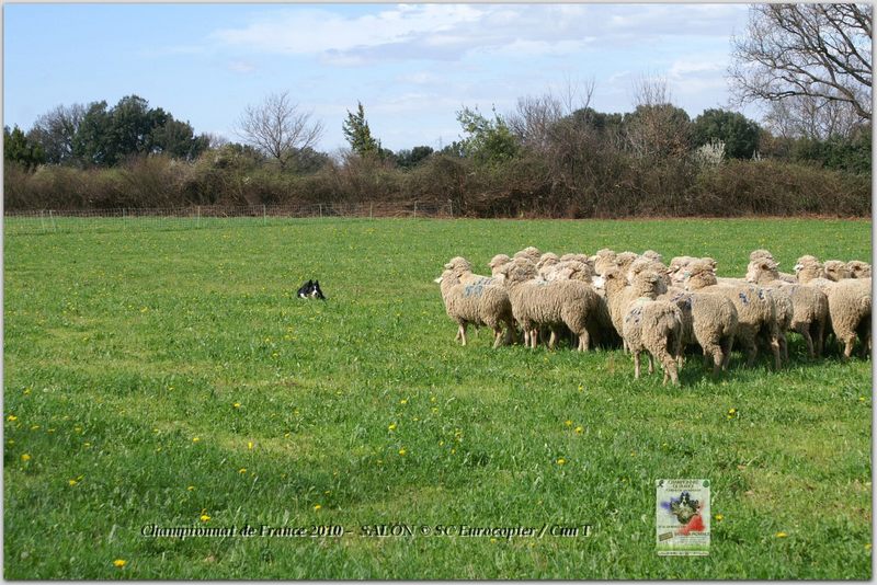 Geniez_Agua_Samedi_0072w-web.jpg - KONICA MINOLTA DIGITAL CAMERA