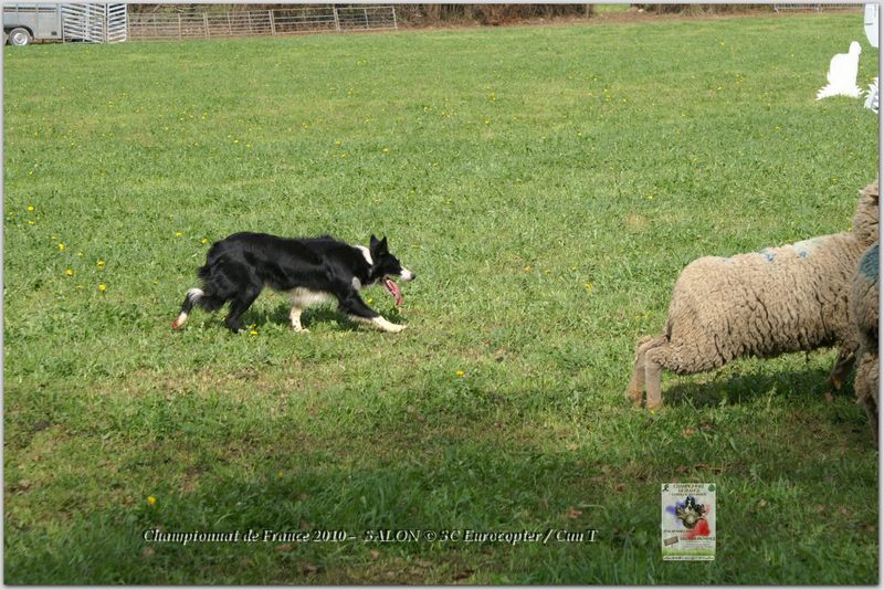 Geniez_Agua_Samedi_0075w-web.jpg - KONICA MINOLTA DIGITAL CAMERA