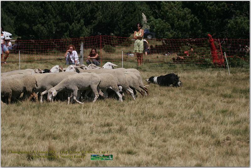 IMG_9285w.jpg