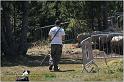 IMG_9257w