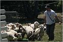 IMG_9261w