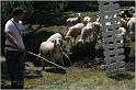 IMG_9263-1w