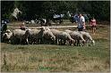 IMG_9279w