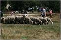IMG_9280w