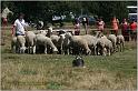 IMG_9281w
