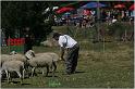 IMG_9292w