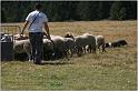 IMG_9297w