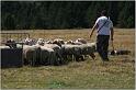 IMG_9298w