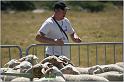 IMG_9301w