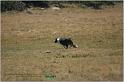 IMG_9321w