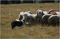 IMG_9333w