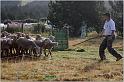 IMG_6896w