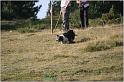 IMG_6929w
