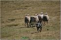 IMG_9474w