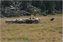 IMG_9476w