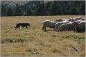 IMG_9481w