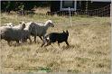 IMG_9487w