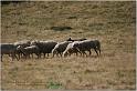 IMG_7151w