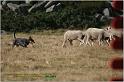 IMG_7158w
