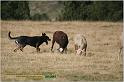IMG_7163w